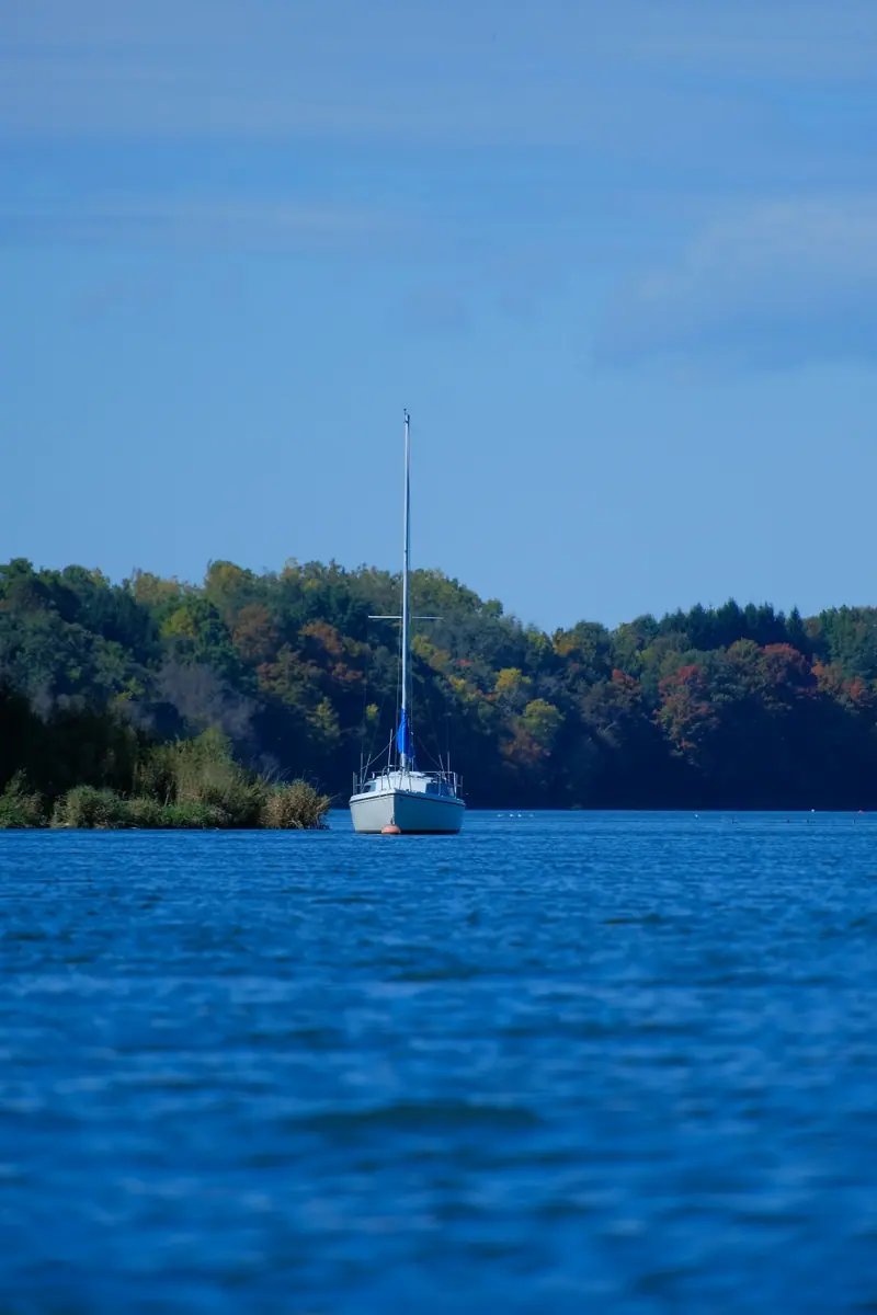 A white sailboat on the blue reservoir, autumn trees on the far shore
