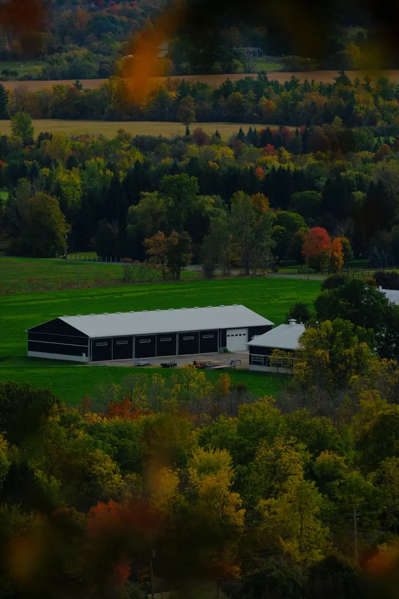 A farm and green fields seen from the escarpment, framed by orange leaves