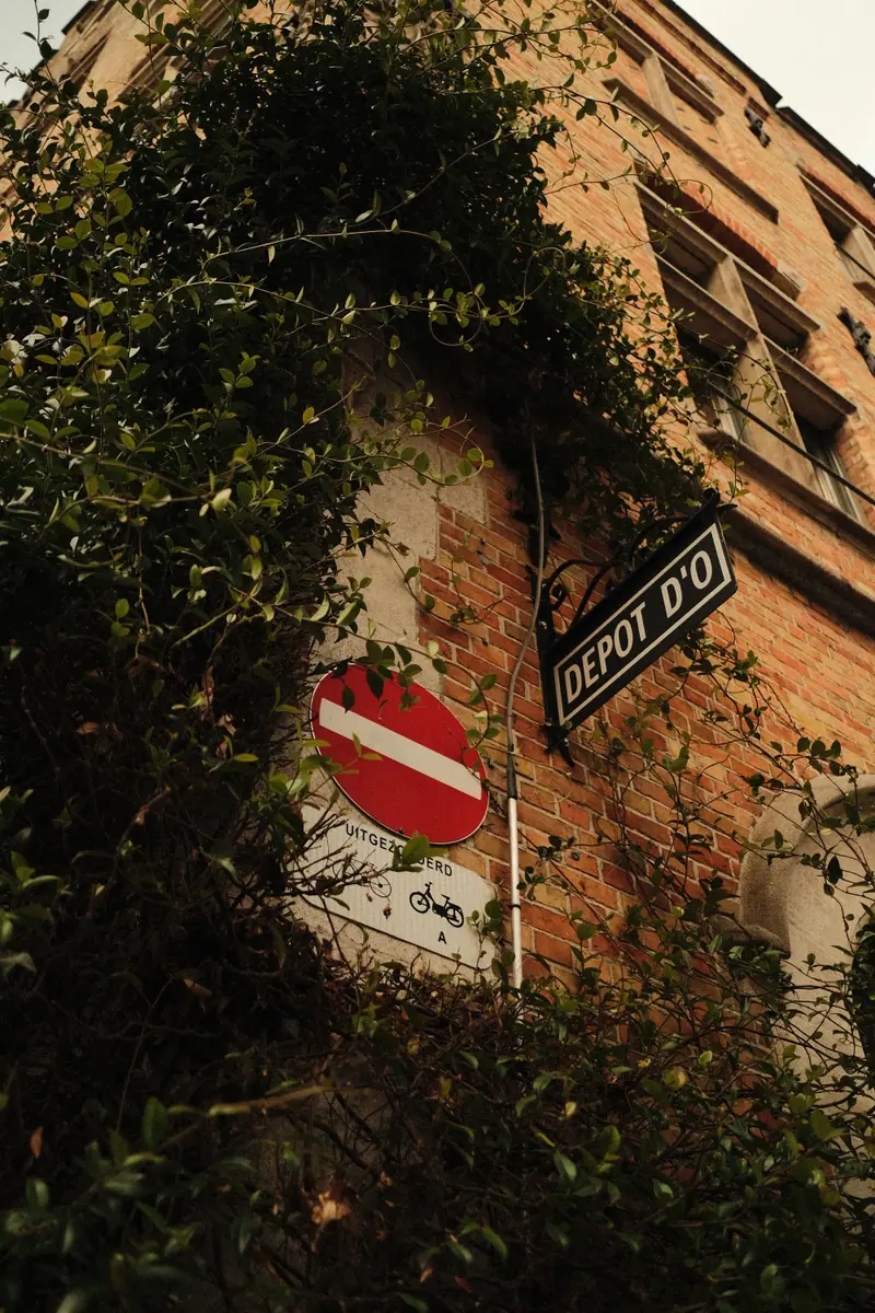 A no-entry sign and a Dépôt d'O street sign on an ivy-covered brick corner