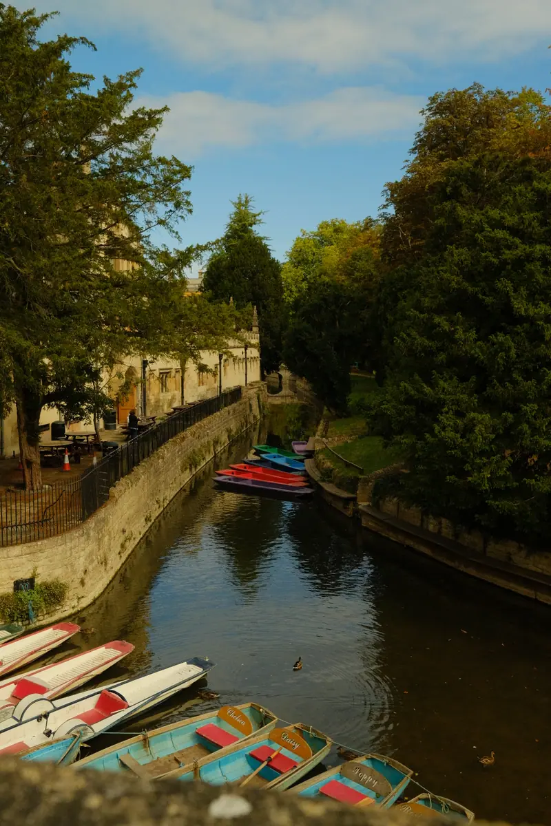 Punts moored along a narrow river, trees leaning over the water