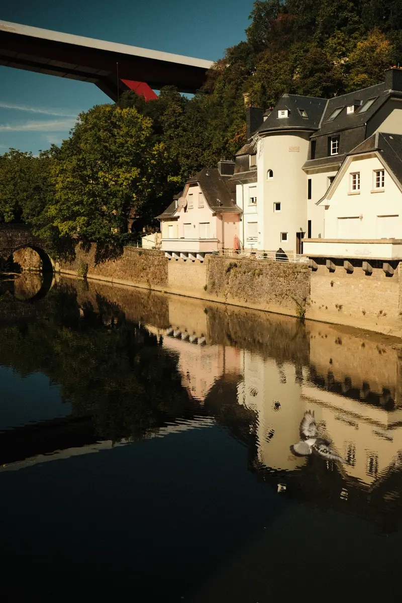 White houses and a bridge reflected in the still river