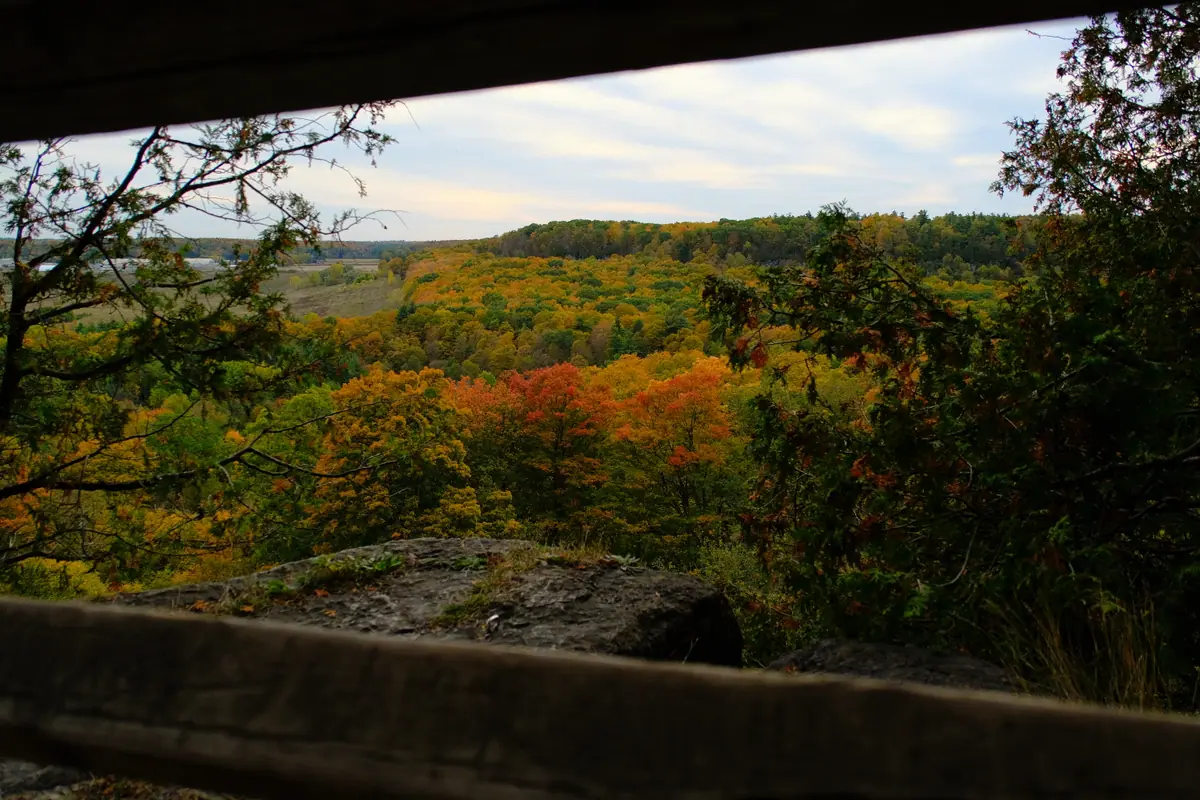 The view over autumn forest from under a rock overhang